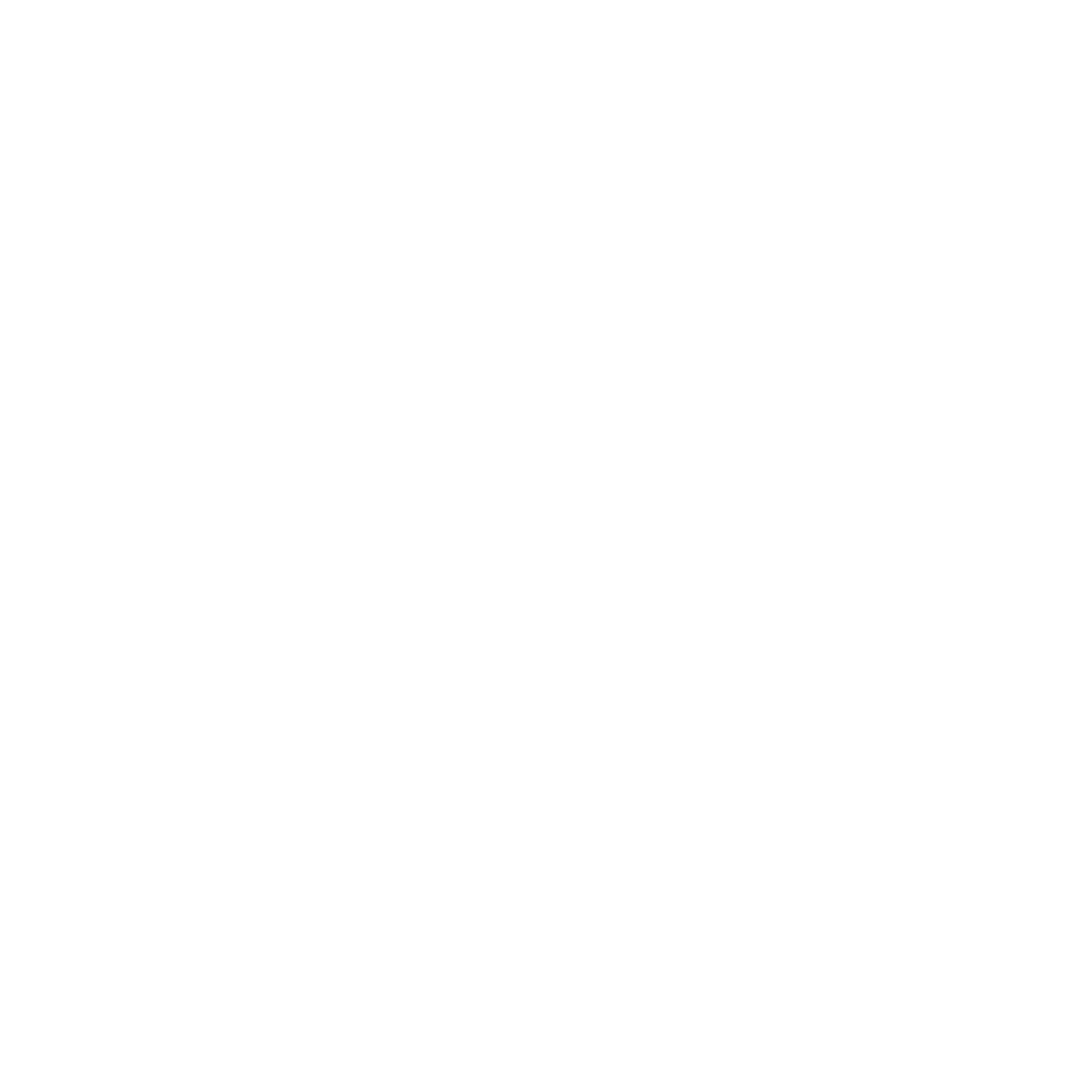 SeS Fiber Internet